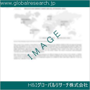 グローバルリサーチ調査資料のイメージ